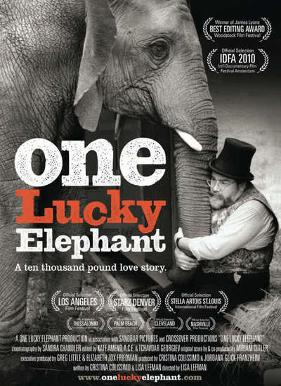 One Lucky Elephant Movie Poster