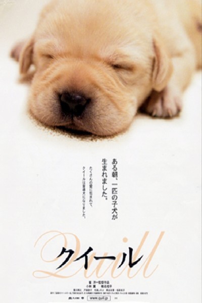 Quill: The Life of a Guide Dog Movie Poster