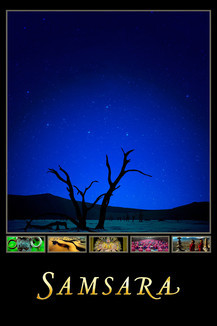 Widget_48dz4mewllwsq3tosky5ghocubt