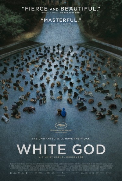 White God Movie Review & Film Summary (2015) | Roger Ebert White God Movie Review & Film Summary (2015) | Roger Ebert