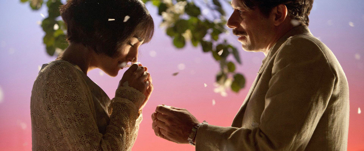 Chicken with Plums Movie Review