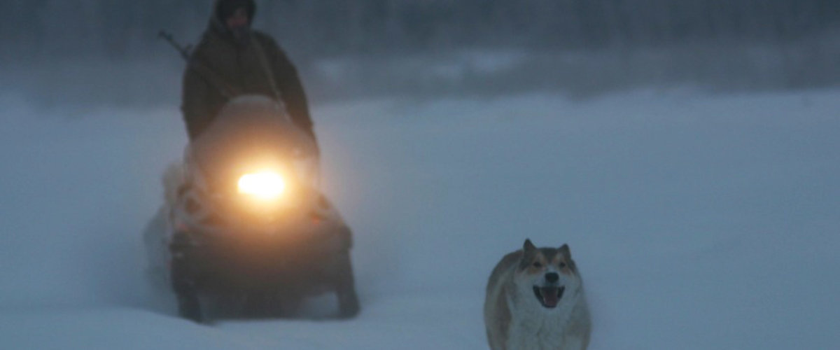 Happy People: A Year in the Taiga Movie Review