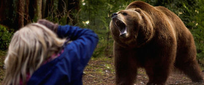 Thumb_intothegrizzlymaze_2015_1
