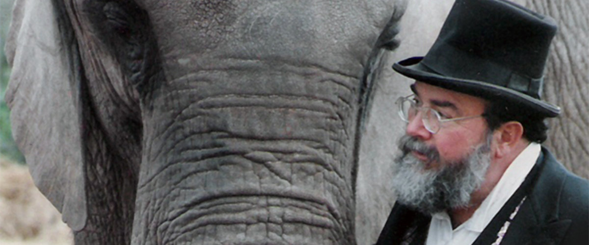 One Lucky Elephant Movie Review One Lucky Elephant Movie Review