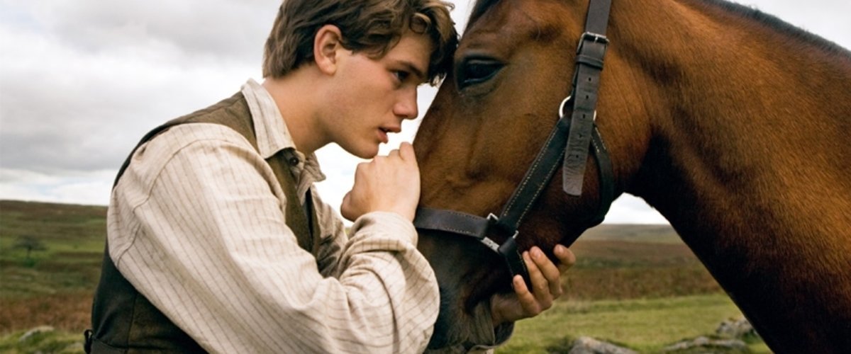 Image result for war horse