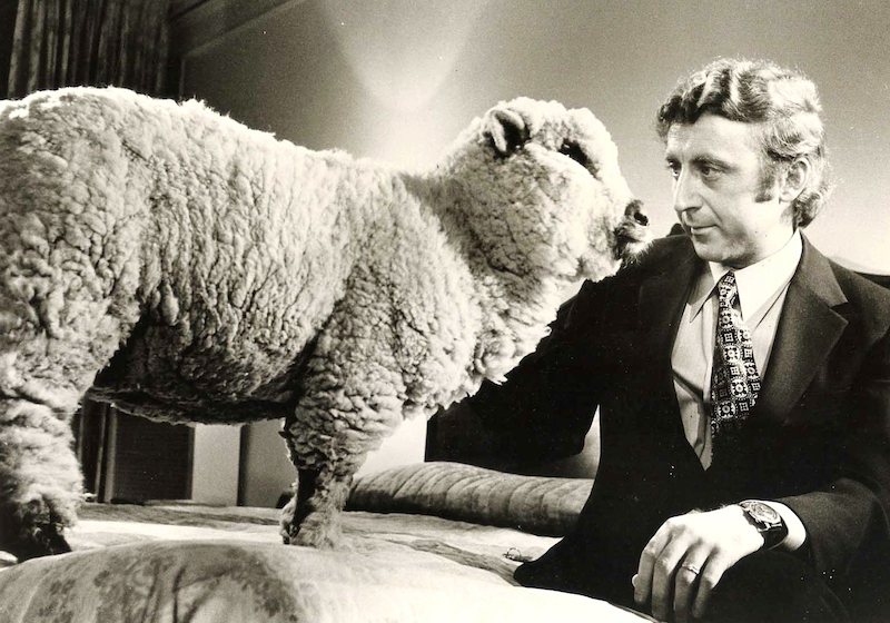 Personalized 2015 chinese new year gifts on zazzle Chinese New Year: Goats, Rams, Sheep, Beautiful People and Movies