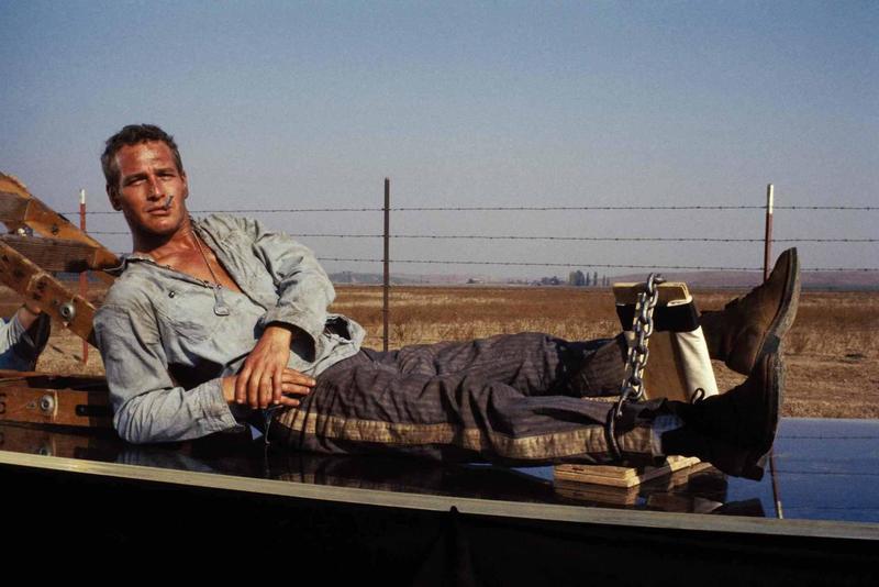 Paul Newman movie reviews & film summaries | Roger Ebert