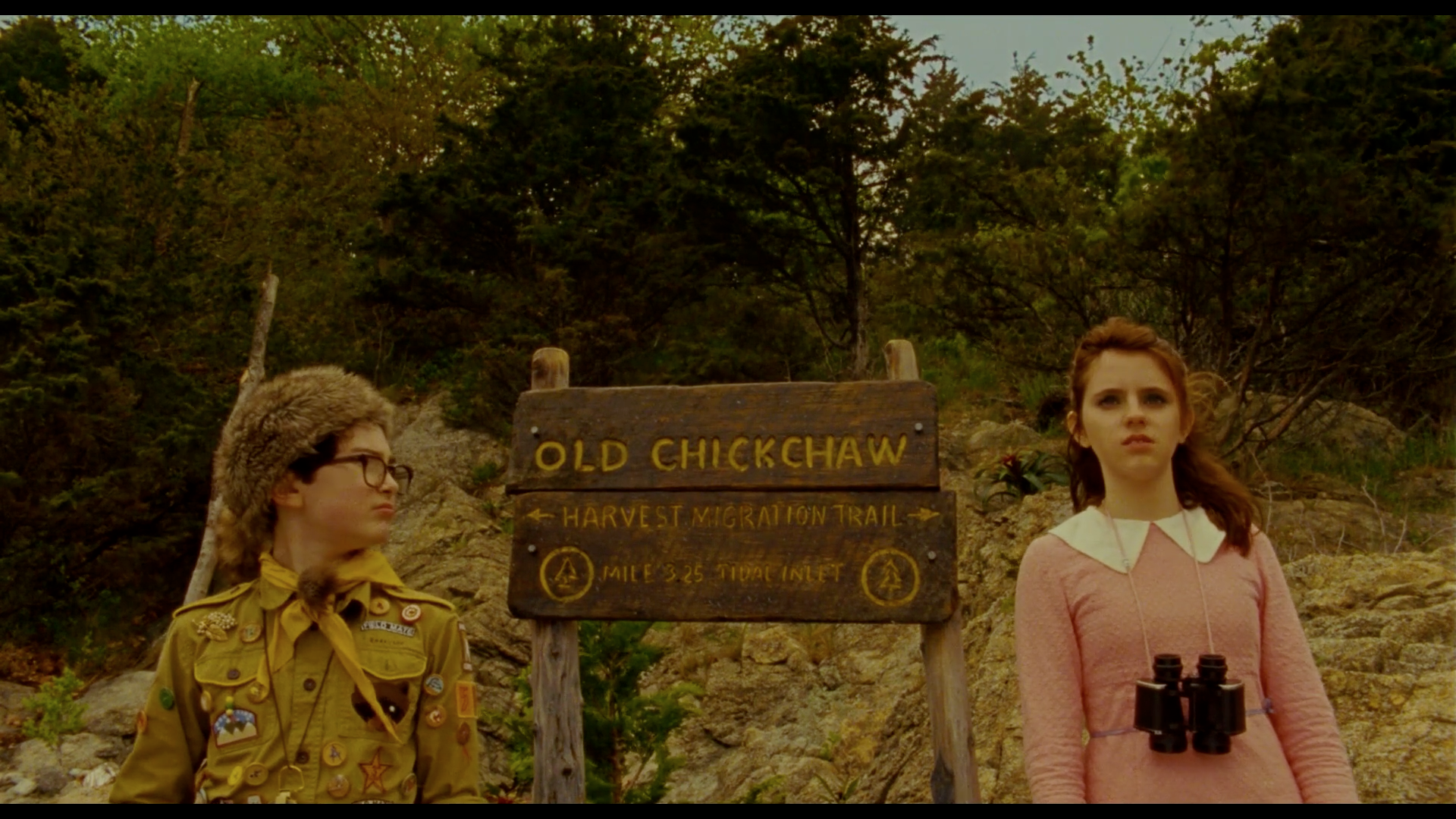 Moonrise kingdom essay image