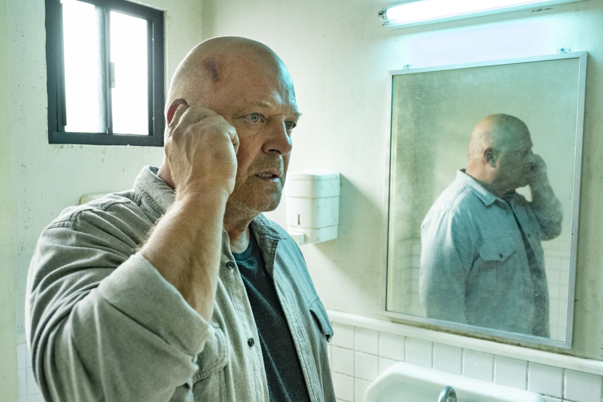 Coyote Has Unpredictable Journey To Cbs All Access Tv Streaming Roger Ebert